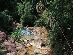-南海湾森林生态园