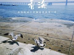 -星海广场