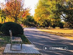 -永定河休闲森林公园