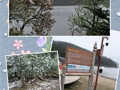 -普达措国家公园