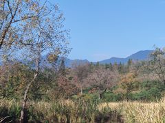 -塔川景区