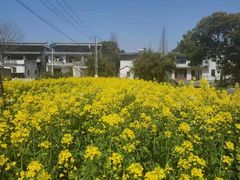 -小鱼草莓采摘园农家乐·小鱼餐厅