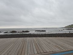 -小麦岛公园