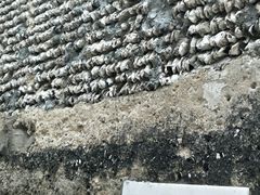 -小洲村
