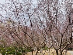 -永定河休闲森林公园