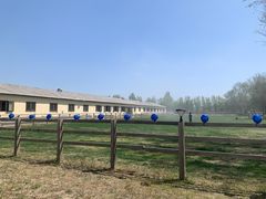 -北京群众马术培训基地
