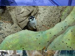 -海合安武汉极地海洋公园