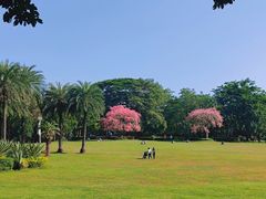 -荔香公园