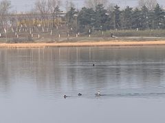 -绿堤公园