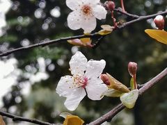 -浙江医院(灵隐院区)