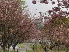 -白塘生态植物园