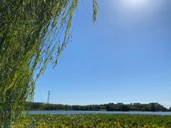 -大兴滨河森林公园