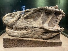 -自贡恐龙博物馆