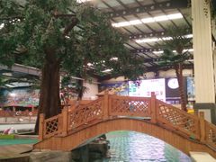 -南宫温泉水世界