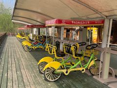 -合肥滨湖国家森林公园