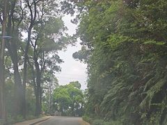 -广州市帽峰山景区