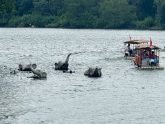 -璟象酒店-爱丽坊景观餐厅