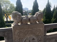 -槐乡六门城小馆(洪洞店)