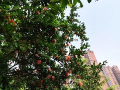 -西安汉城湖景区