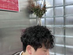 -Hair Code芭曲发型