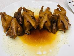 豉油王乳鸽-太子园林酒家