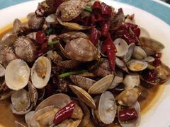 辣炒青岛小花蛤-船歌·鱼水饺青岛菜(闽江二路店)