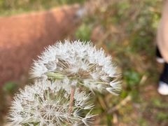 -维也纳酒店(成都春熙路李家沱地铁站店)