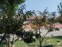 -天津市南开中学滨海生态城学校
