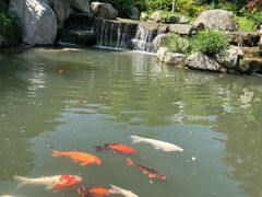 -南京海底世界