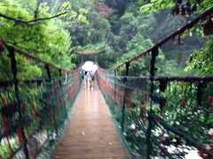 -溪口-滕头旅游景区