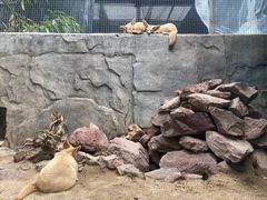 -广州长隆飞鸟乐园