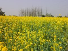 -蜀绣公园