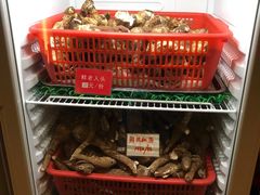 -太婆天府山珍酒楼(亚运村店)