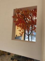 -娜芙缇缇med spa