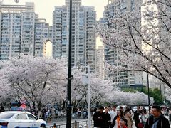 -西北湖绿化广场