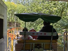 -朝阳公园游乐园