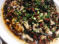 -三猫黑鱼花(南大店)
