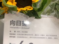 -鹿岛会员店 (龙湖三千集天街店)