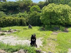 -宁波野生动物园