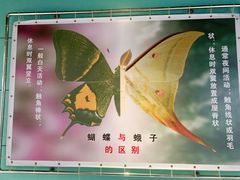 -上海昆虫博物馆