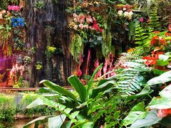 -正佳雨林生态植物园