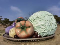 -苏州太湖国家湿地公园