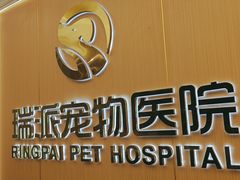 -瑞派康怡24h宠物医院·犬猫医疗中心·微创绝育(瑞景分院)