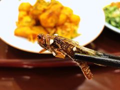 -巴人堂(女儿城店)