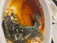 -高老庄新家宴(北斗星广场店)