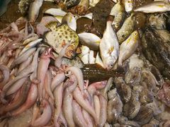 -海蓝海鲜馆(五四北店)