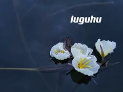 -丽江泸沽湖景区