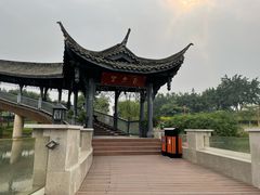 -眉山湿地公园(东坡区)