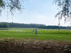 -东郊湿地公园