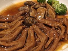-金美华轩(东方路齐鲁店)